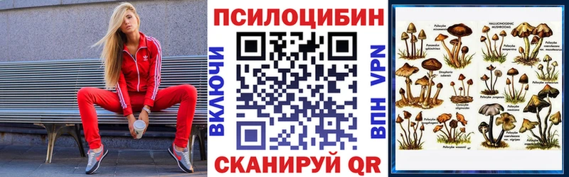 Галлюциногенные грибы мицелий  Асино 